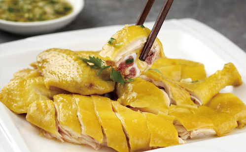 新手怎样开快餐店,有哪些建议